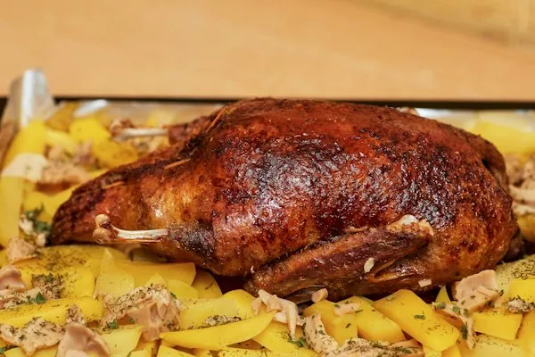 Ente Haryali – mittelscharf